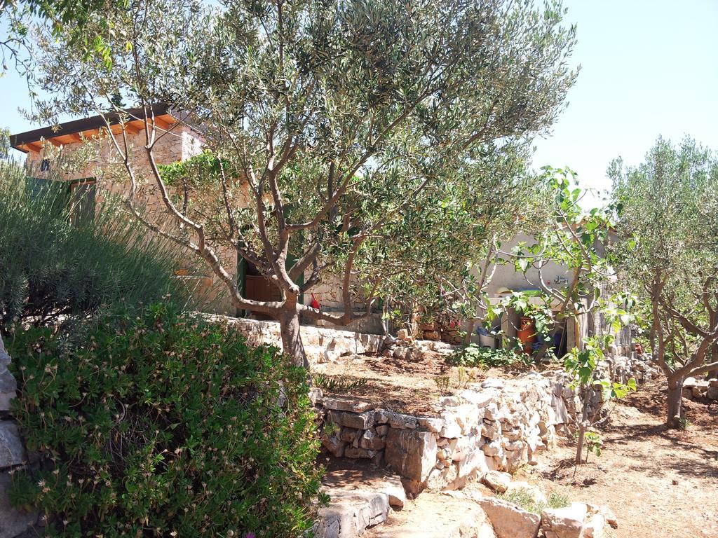 Robinson House Kata Villa Milna  Exterior photo